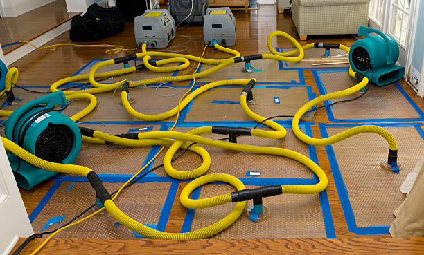 Professional Basement Flood Cleanup technician working in Granite Quarry, NC
